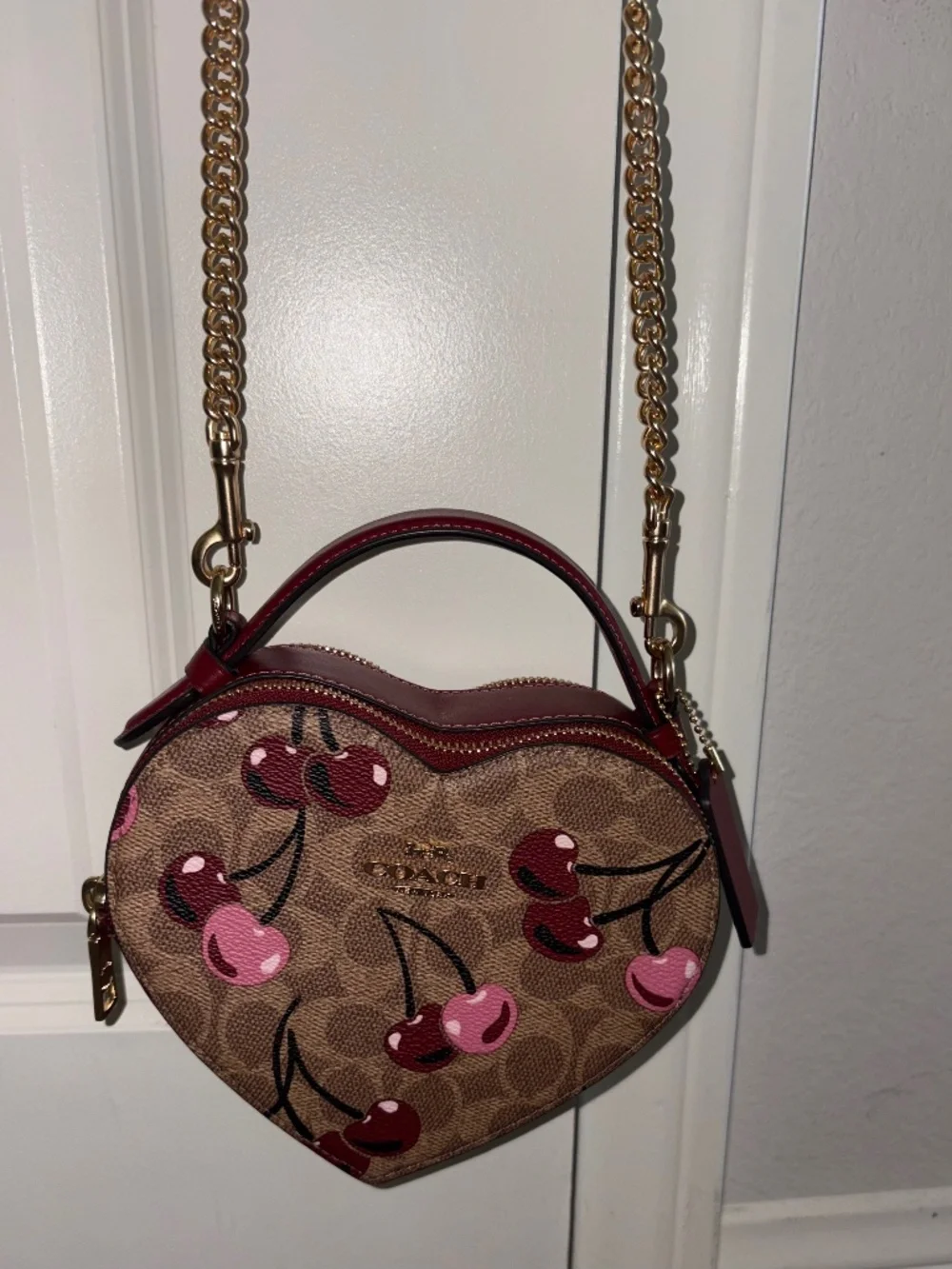 COACH ♥️ Crossbody Bag Canvas Leather Cherry Print